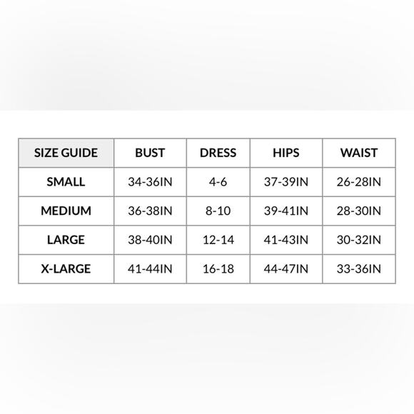 Just Sexy Lingerie Bow Bustier Set with Stockings Small NEW WITH TAGS Retail $87 - Picture 12 of 13